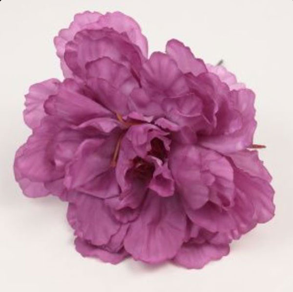バレンシア牡丹。フラメンコの花。ブーゲンビリア 36。 12cm